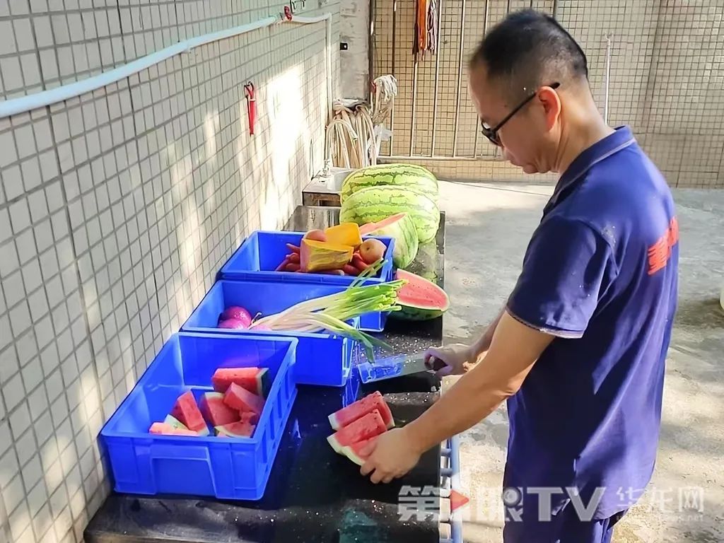 让人羡慕!重庆萌兽们的度夏方式好凉爽 让人羡慕!重庆萌兽们的度夏方式好凉爽