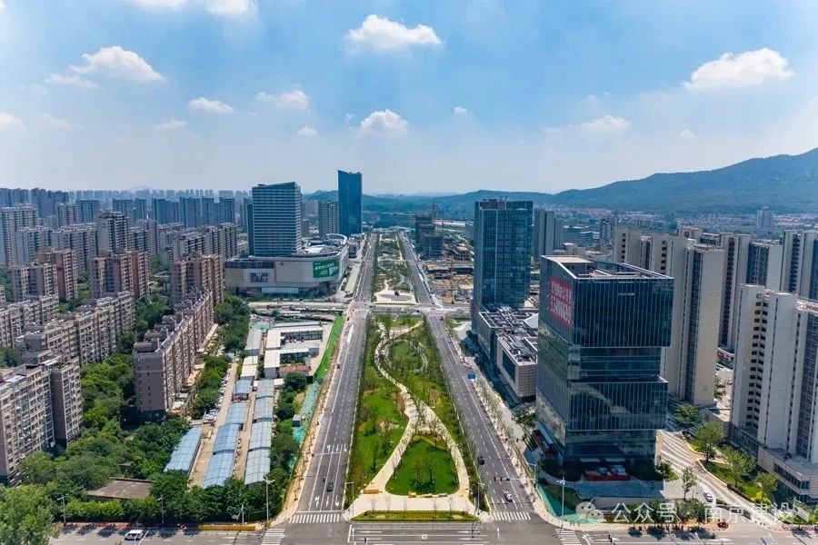 通车啦！这条路直达红山森林动物园