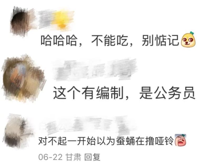 在北京路边看到这种黑色的蛹千万别打!网友:有“编制” 在北京路边看到这种黑色的蛹千万别打!网友:有“编制”