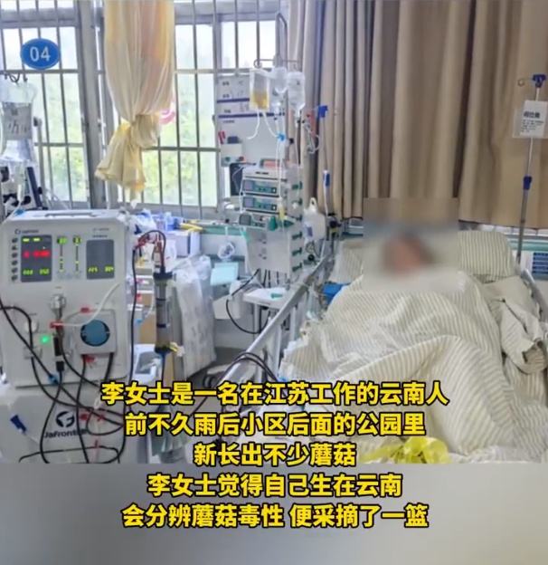 云南女子自信能辨毒，在公园采蘑菇吃后差点丧命！