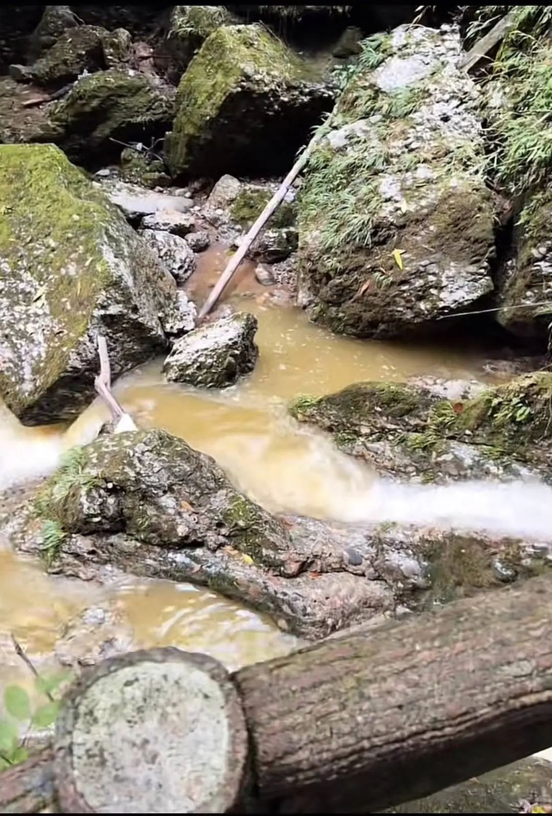 网友称青城后山一公厕排水泛黄,景区:连续暴雨致管道破裂,已处理 网友称青城后山一公厕排水泛黄,景区:连续暴雨致管道破裂,已处理