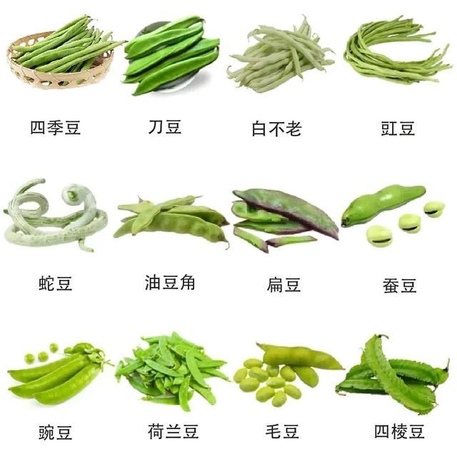 高钙、高钾、高纤维！夏天餐桌上的“三高蔬菜”，你吃了吗？