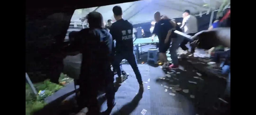 密林、荆棘环绕,还有望风哨车和暗哨,午夜的山顶帐篷里竟然藏着… 密林、荆棘环绕,还有望风哨车和暗哨,午夜的山顶帐篷里竟然藏着…