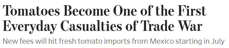 在美国,番茄会成为“下一个鸡蛋”吗? 在美国,番茄会成为“下一个鸡蛋”吗?