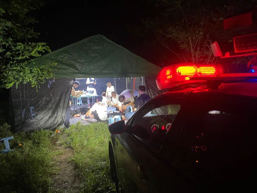 密林、荆棘环绕,还有望风哨车和暗哨,午夜的山顶帐篷里竟然藏着… 密林、荆棘环绕,还有望风哨车和暗哨,午夜的山顶帐篷里竟然藏着…