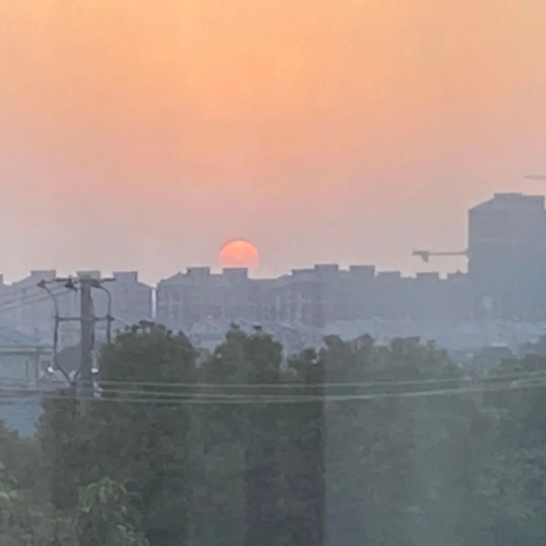 代抢?录入?小心 “票圈陷阱”! 代抢?录入?小心 “票圈陷阱”!