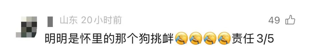 广东一女子在电梯内被邻居的狗抓伤，对方：去告我吧