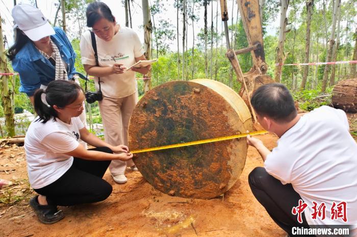 广西北流出土千年铜鼓 极具考古价值