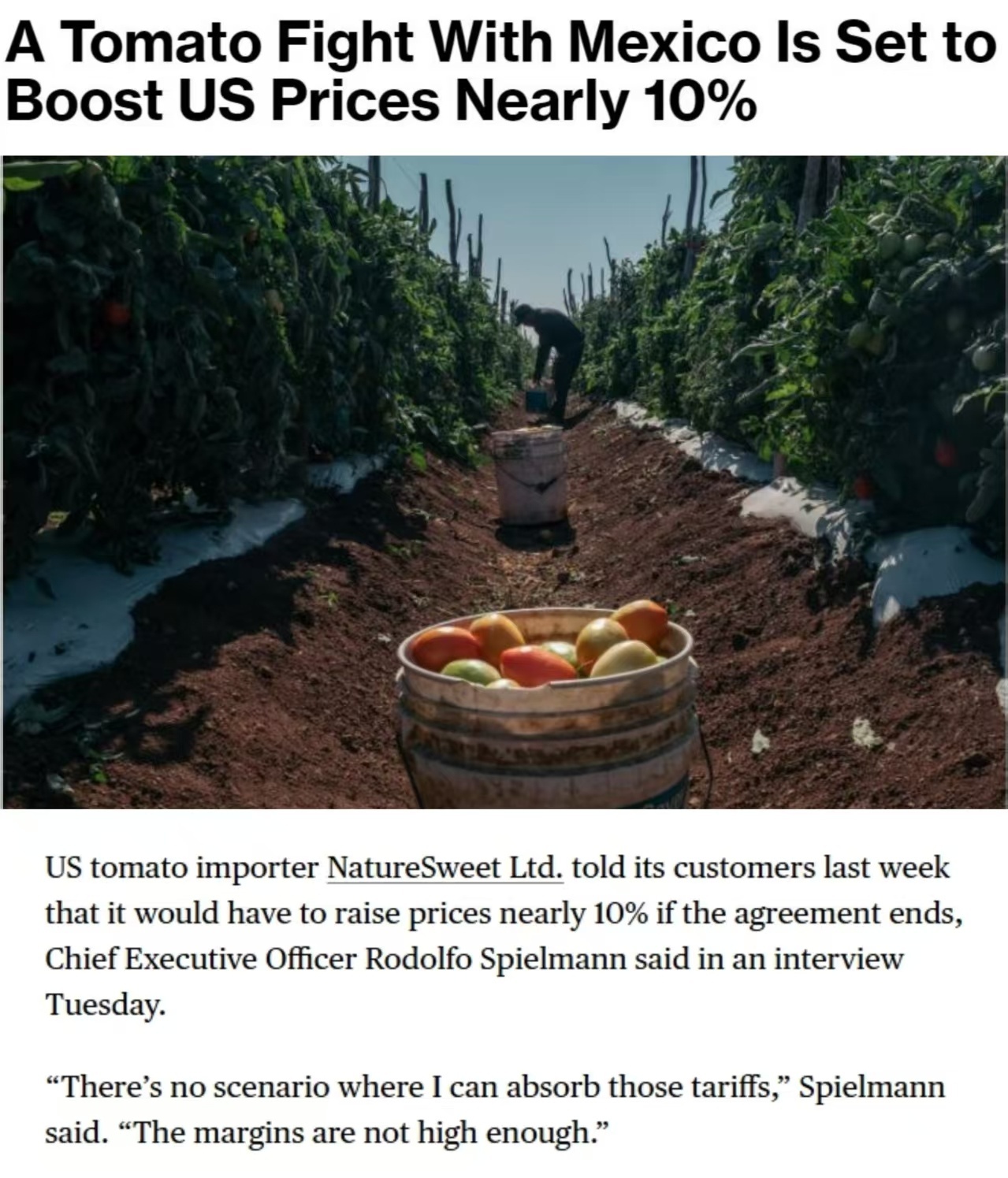 在美国,番茄会成为“下一个鸡蛋”吗? 在美国,番茄会成为“下一个鸡蛋”吗?