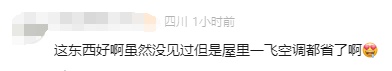 有人家中出现“巨型蟑螂”?网友:房子给它了 有人家中出现“巨型蟑螂”?网友:房子给它了