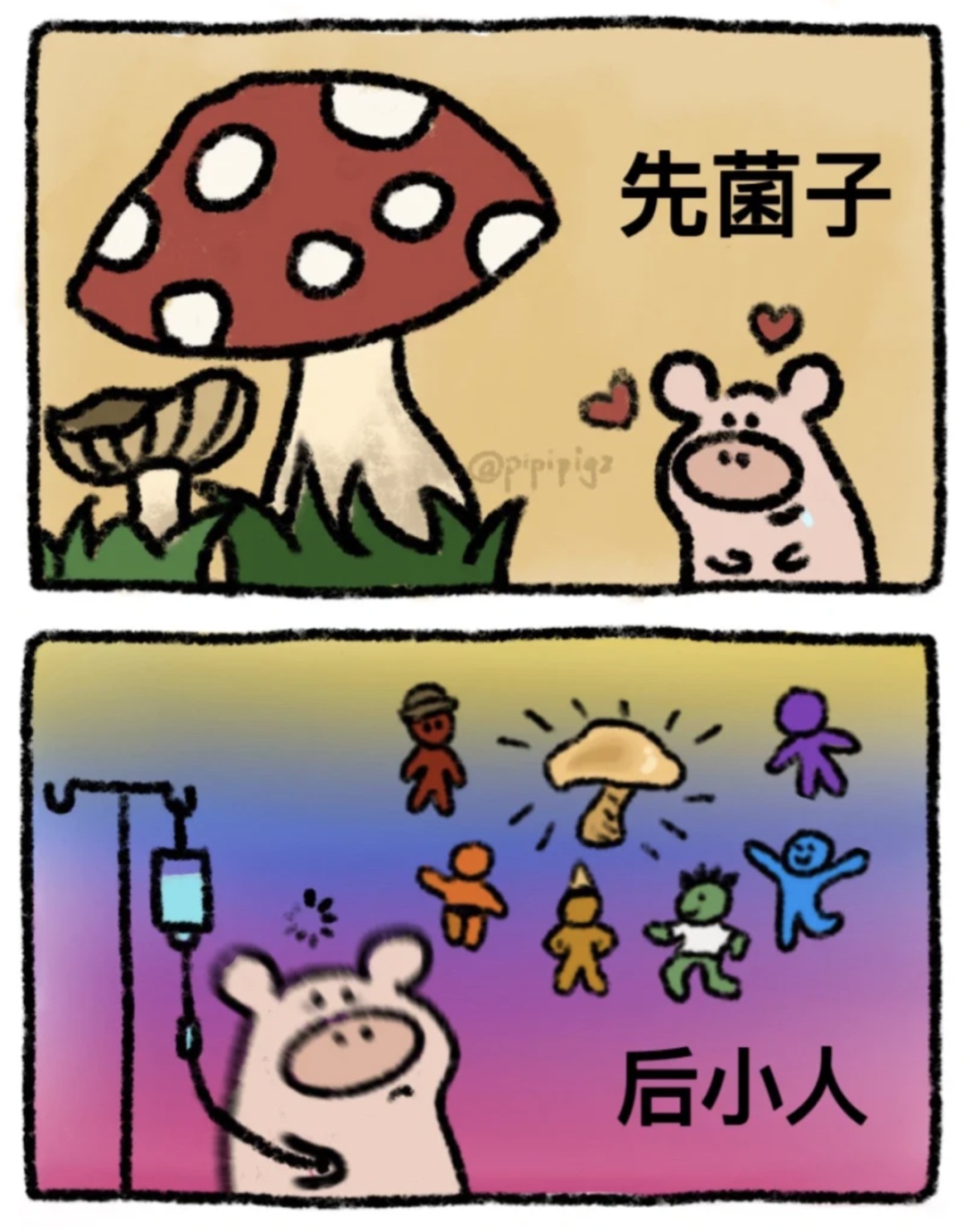 云南女子自信能辨毒，在公园采蘑菇吃后差点丧命！