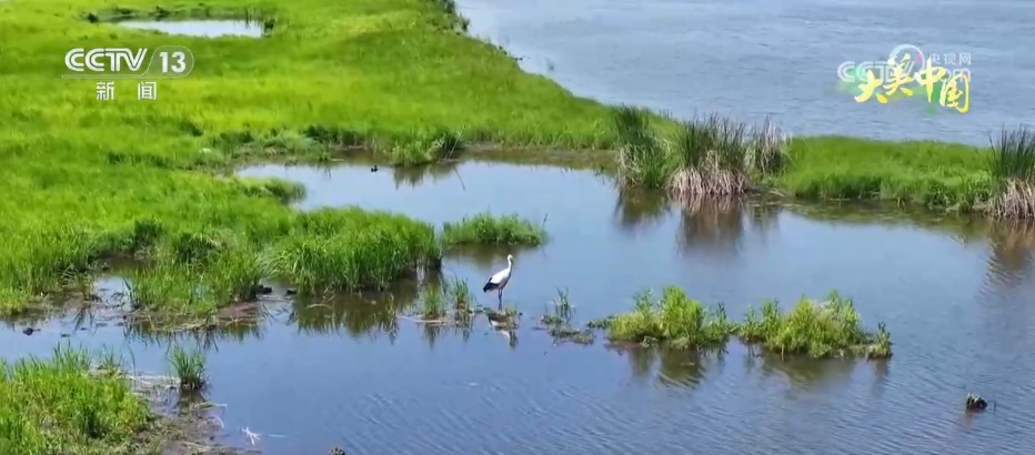 群鸟翔集绘就夏日多彩生态画卷 农文旅融合带动乡村振兴“一路繁花”
