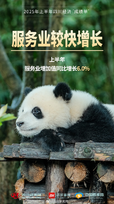 一组海报数览2025年上半年四川经济成绩单