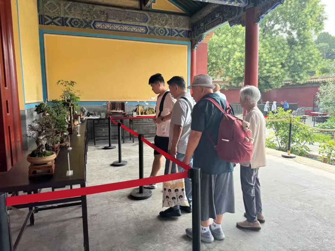 “盆”然心动了！景山公园消夏全攻略→