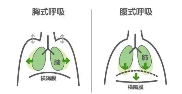 一个动作，让你睡得又快又香！快来试试
