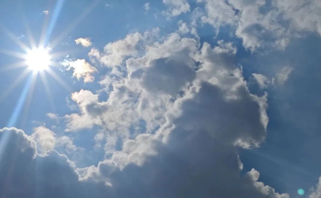 夏季“祛湿黄金期”即将开启，错过真得等一年！