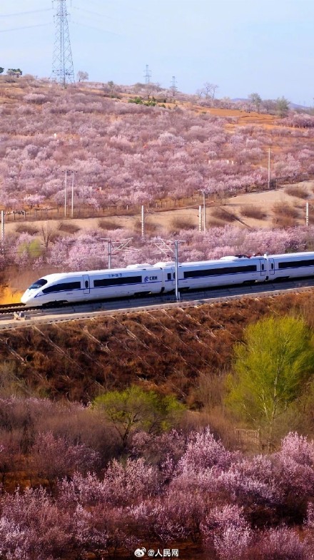 上半年全国铁路发送旅客超22亿人次