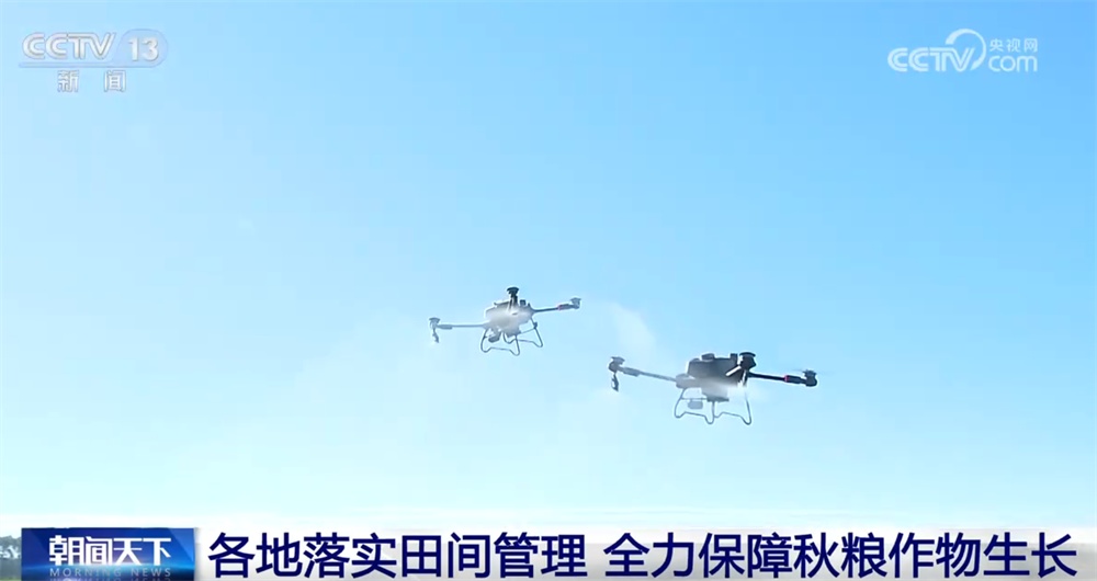 智“绘”田管图 科技为全力保障秋粮作物生长装上“数字大脑”