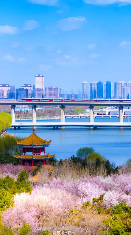 上半年全国铁路发送旅客超22亿人次