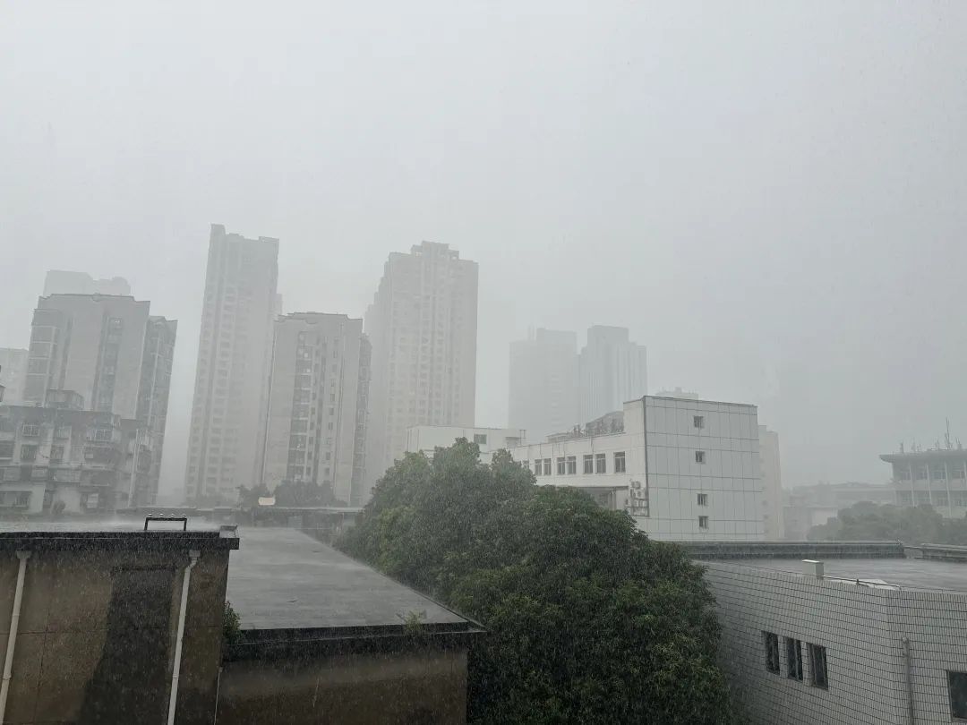 雷雨大风、冰雹！福建预警连发！新台风马上出场