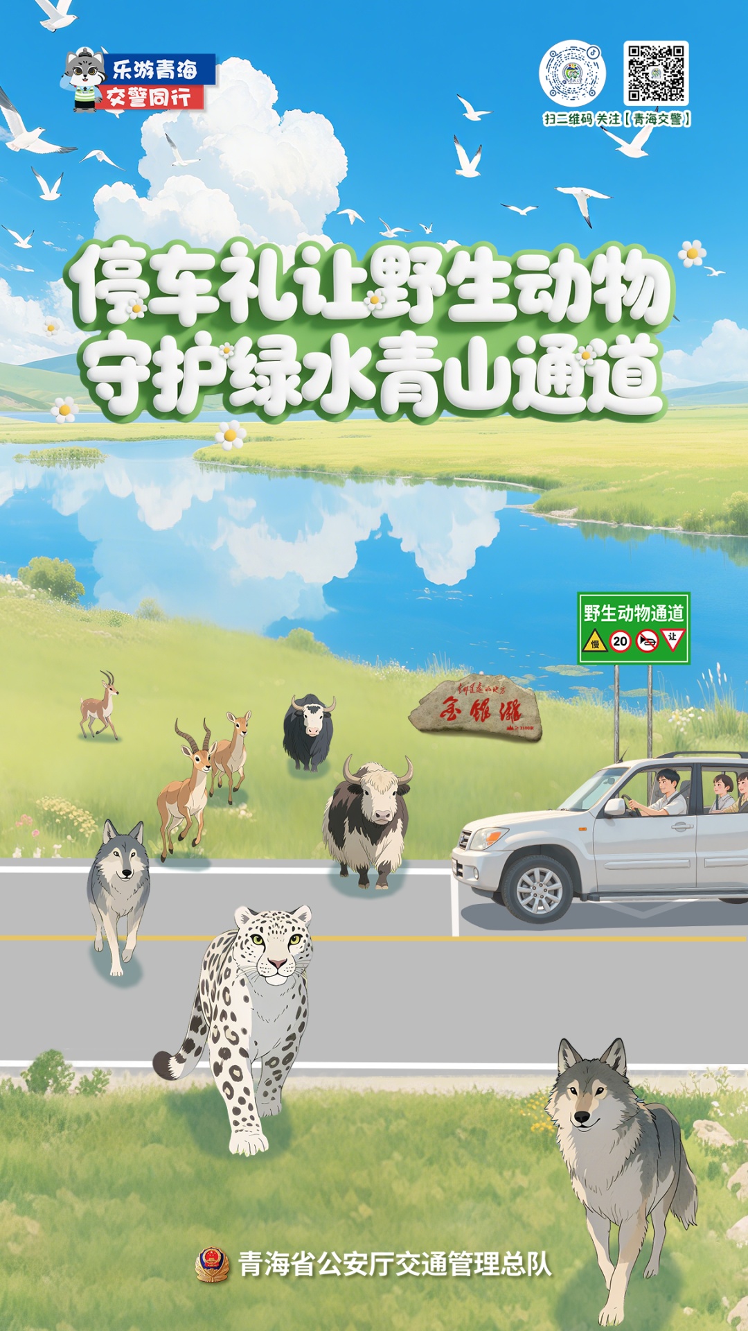 自驾去青海旅游避暑？先掌握几个安全知识点