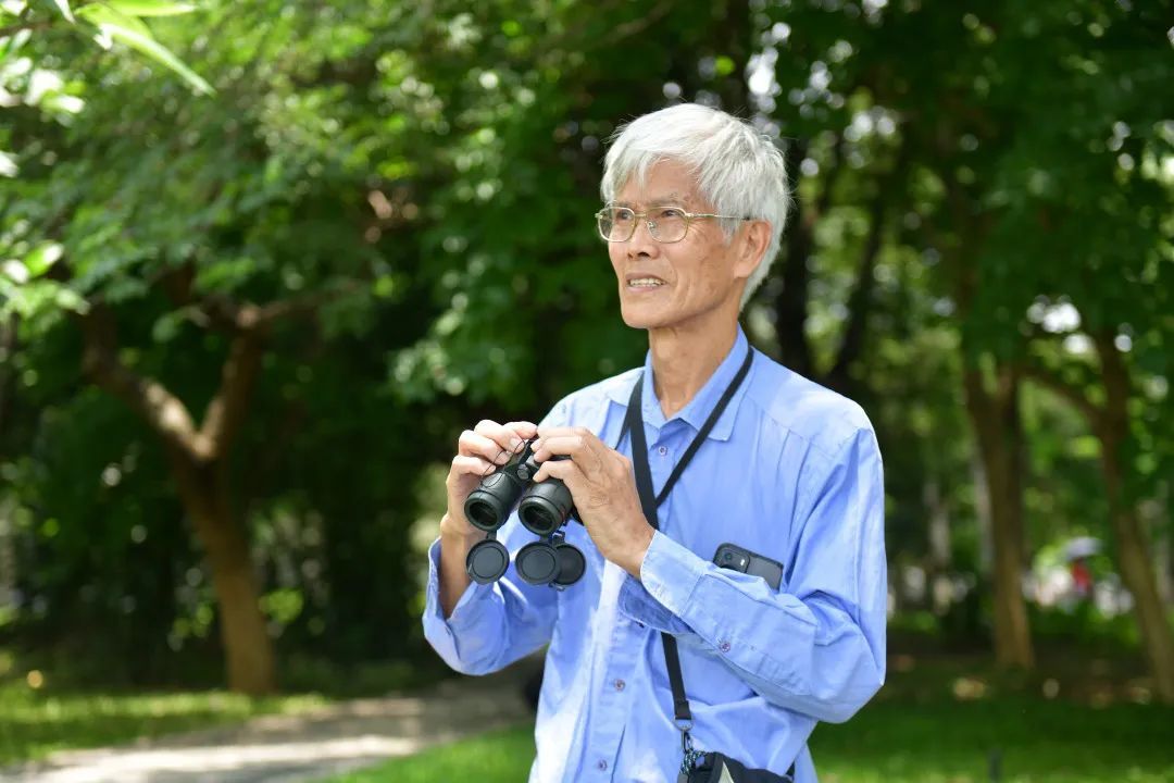 鸟儿可以学猫叫？广州“鸟伯”珠江口追鸟30年拍下空中“靓仔”