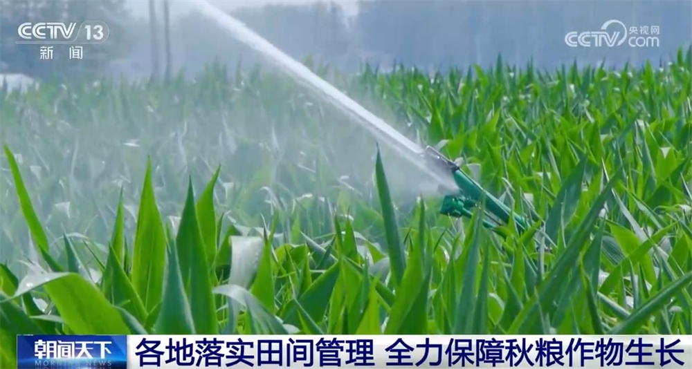 智“绘”田管图 科技为全力保障秋粮作物生长装上“数字大脑”