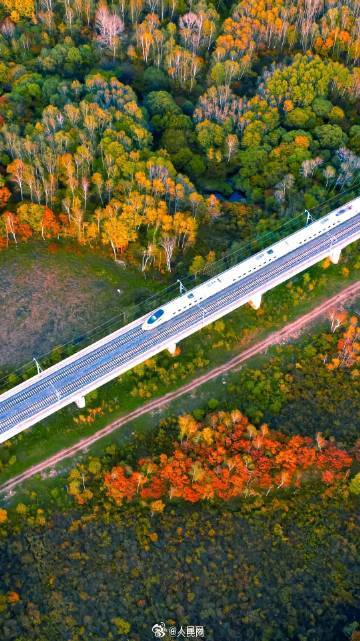 上半年全国铁路发送旅客超22亿人次