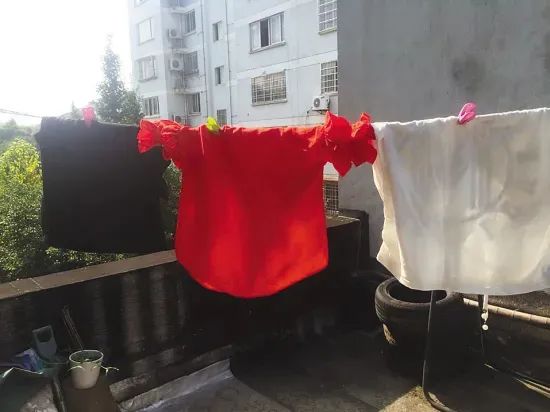 体感40℃！高温天穿得越少可能更热，穿羊毛反而更清凉？