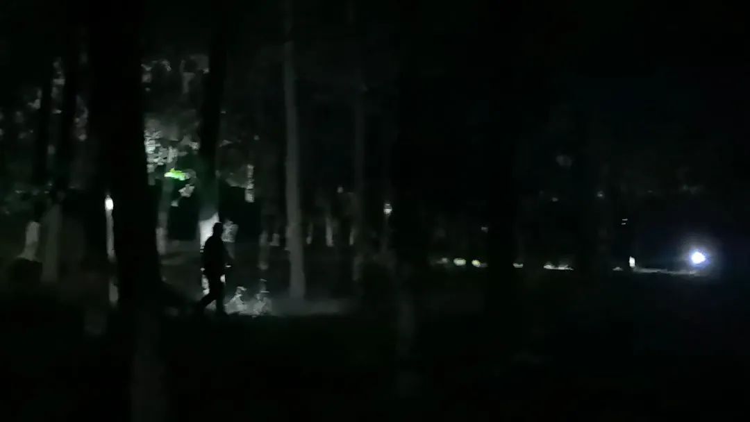 有人一天赚2000元！近期大量出现，不少武汉人夜晚出动