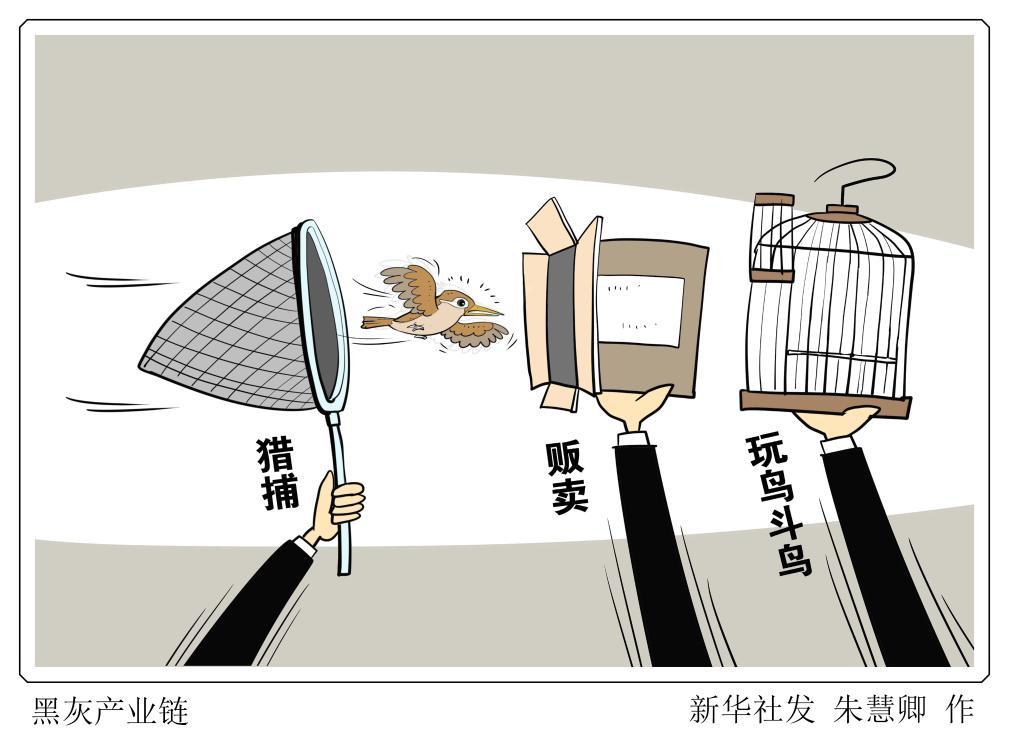 莫让“捕网”变“法网” 当心“鸟笼”变“囚笼” 莫让“捕网”变“法网” 当心“鸟笼”变“囚笼”