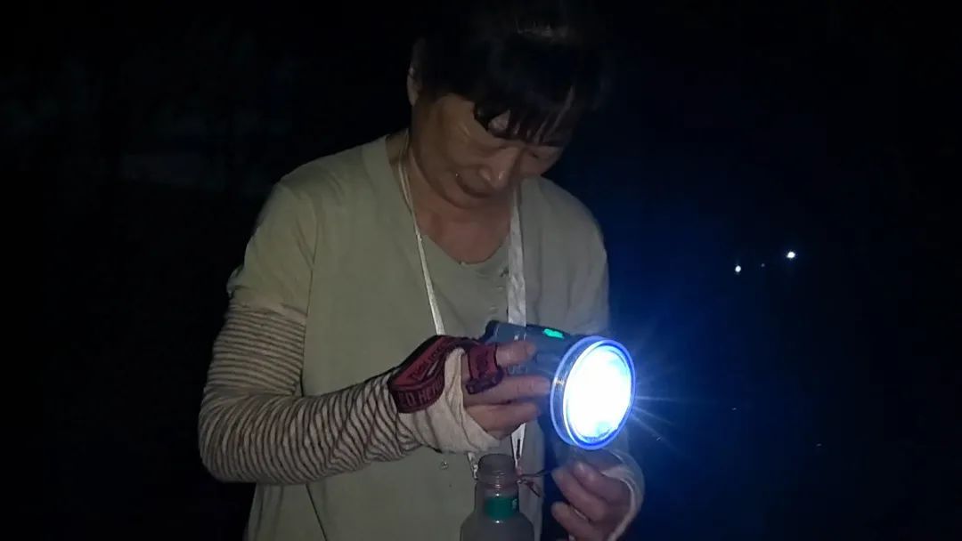 有人一天赚2000元！近期大量出现，不少武汉人夜晚出动