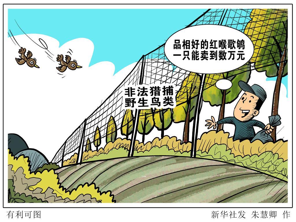 莫让“捕网”变“法网” 当心“鸟笼”变“囚笼” 莫让“捕网”变“法网” 当心“鸟笼”变“囚笼”