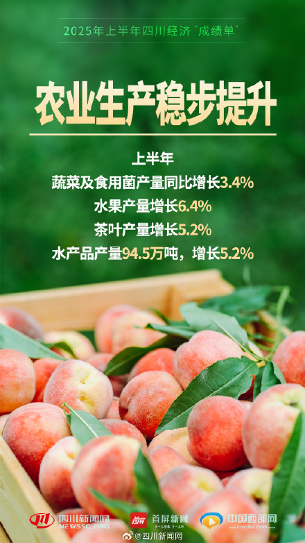 一组海报数览2025年上半年四川经济成绩单