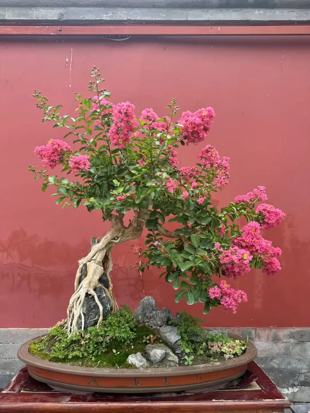 “盆”然心动了！景山公园消夏全攻略→