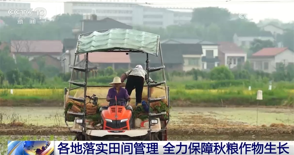 智“绘”田管图 科技为全力保障秋粮作物生长装上“数字大脑”