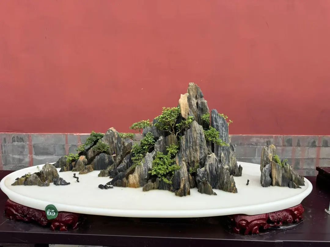 “盆”然心动了！景山公园消夏全攻略→