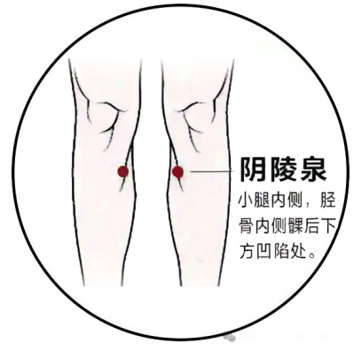 夏季“祛湿黄金期”即将开启，错过真得等一年！