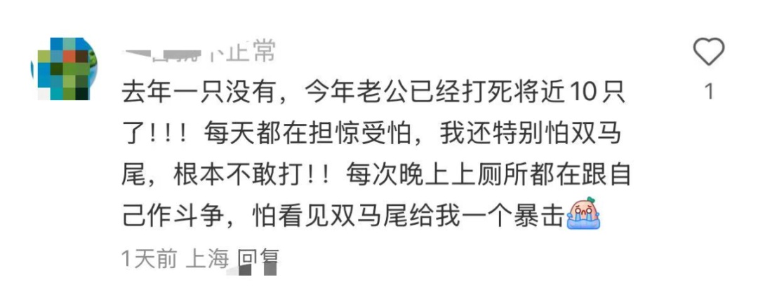 上海人周末泡汤?1个好消息1个坏消息网友晒家中"巨型蟑螂"头皮发麻,科普! 上海人周末泡汤?1个好消息1个坏消息网友晒家中"巨型蟑螂"头皮发麻,科普!