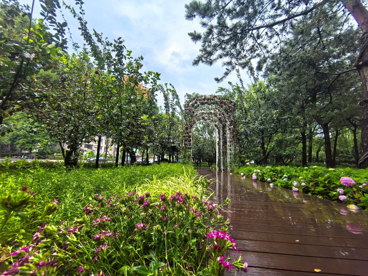 拆墙透绿！北京朝阳公园路变花园式风情街