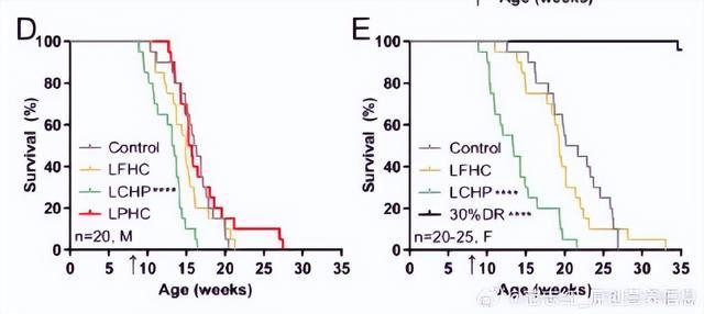 主食吃太少，早死风险增加！真正健康的饮食习惯是……