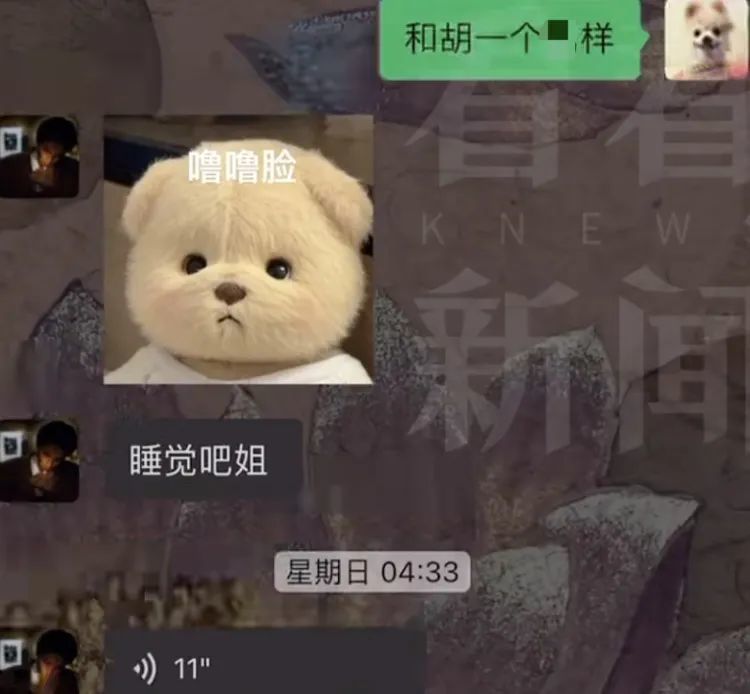 上海一女子分手后遇“复仇者联盟”，为狗花了60多万元！结果傻眼……