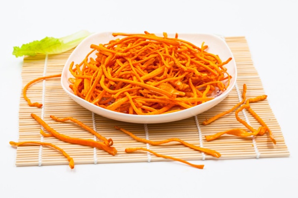 细思极恐！虫草能把蚂蚁等生物变成“僵尸傀儡”?