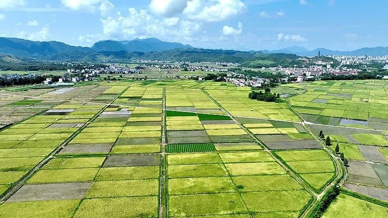 最强14级！台风“韦帕”今日生成