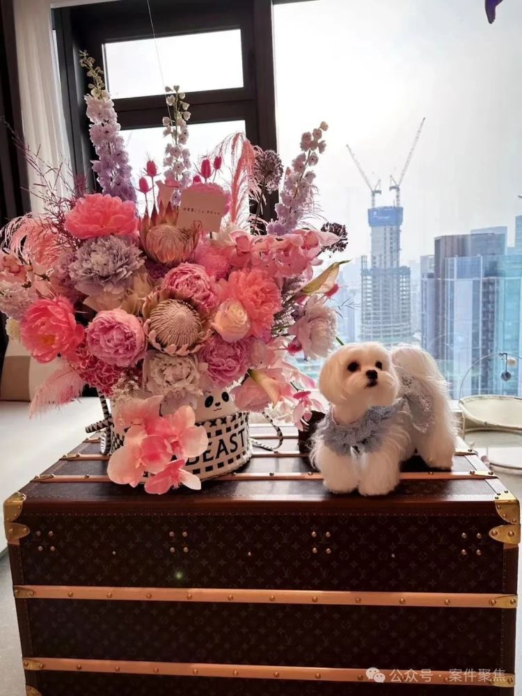 上海一女子分手后遇“复仇者联盟”，为狗花了60多万元！结果傻眼……