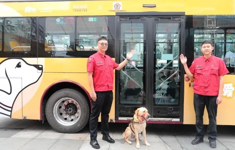 培训期的导盲犬，能不能进入公共交通场景训练？