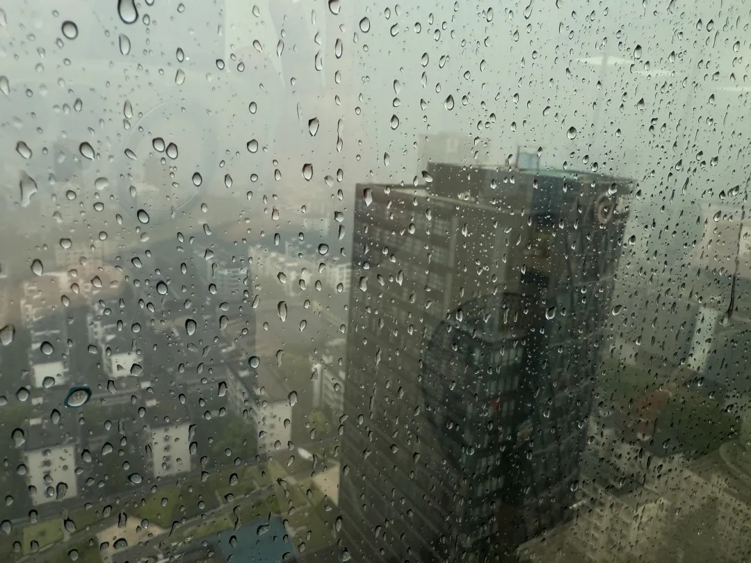 10级雷暴大风！全面影响浙江！台风+1+1+1……