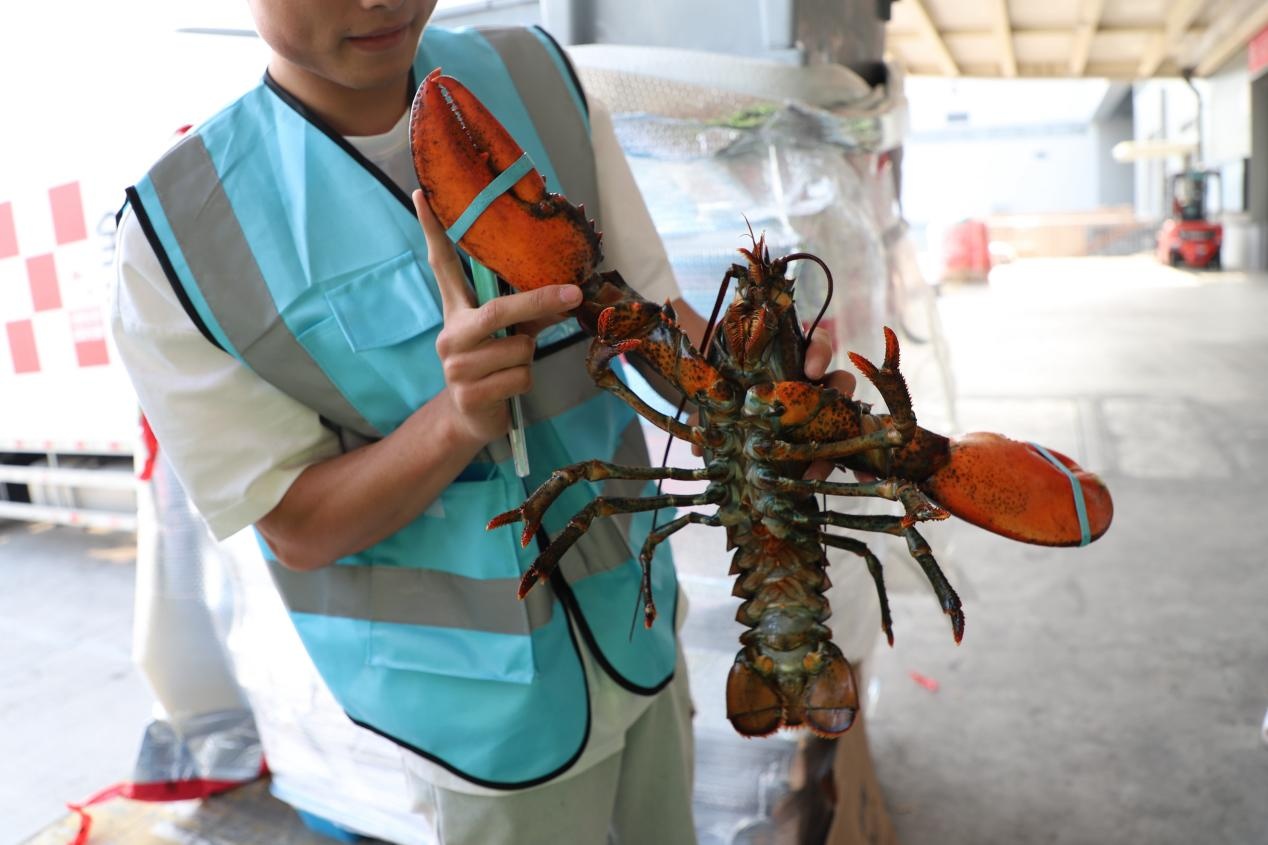 鄂州花湖国际机场投运三周年 货运量突破200万吨