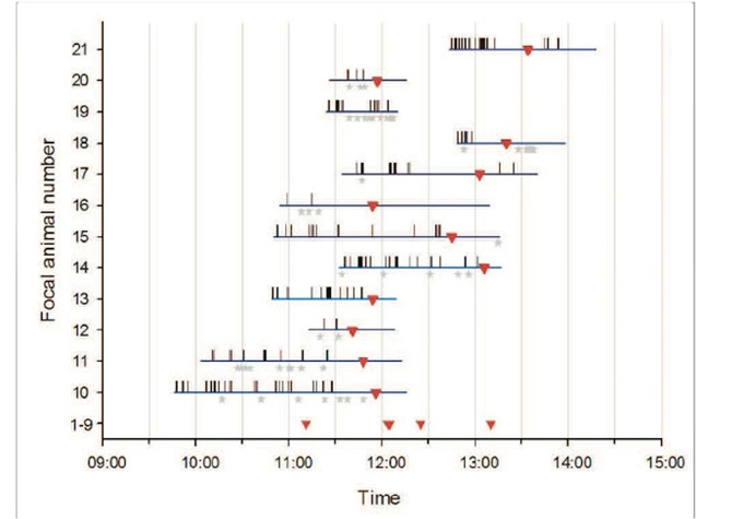 细思极恐！虫草能把蚂蚁等生物变成“僵尸傀儡”?