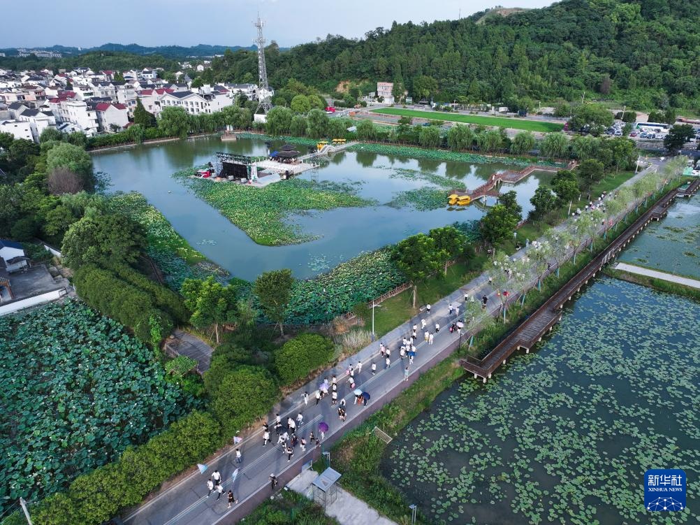 浙江建德:“莲子之乡”举办夏日荷花节 浙江建德:“莲子之乡”举办夏日荷花节